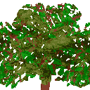 sprite 8
